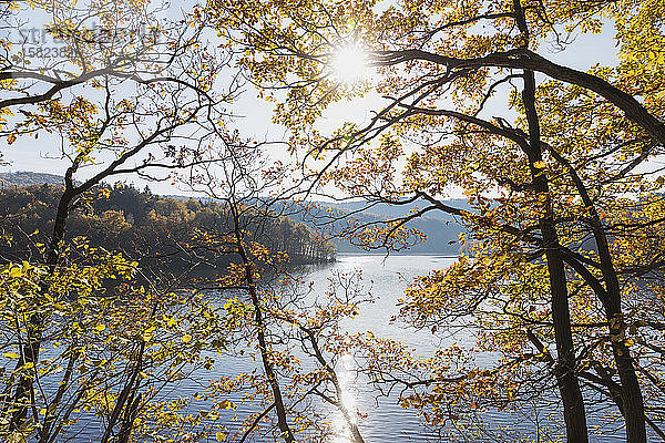 Deutschland  Nordrhein-Westfalen  Einruhr  Herbstliche Bäume gegen die über dem Obersee scheinende Sonne