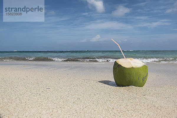 Kokosnuss am Strand  Kuba