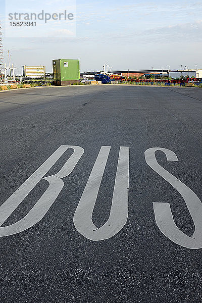 Wort 'Bus' auf Asphalt  Hamburg  Deutschland