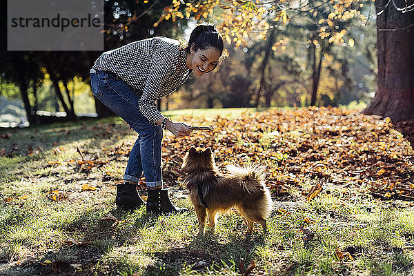 Glückliche junge Frau spielt mit Hund in einem Park