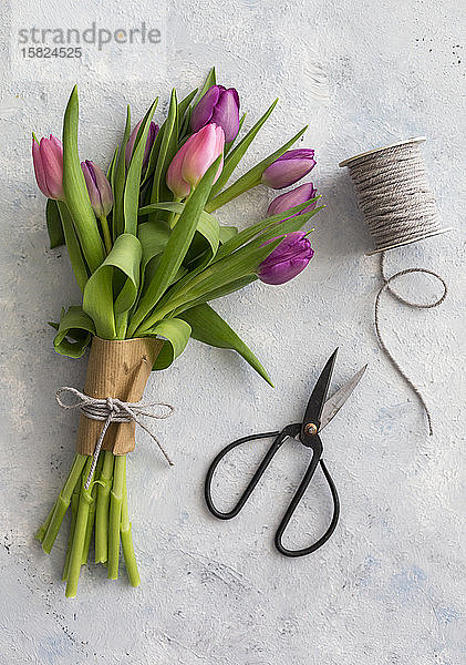 Schere  Spule mit Schnur und Strauss violett blühender Tulpen