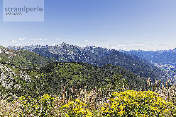 Vew vom Gipfel der Cimetta  Locarno  Tessin  Schweiz