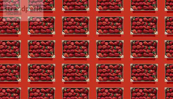Reihen von Erdbeeren in Holzkisten vor rotem Hintergrund