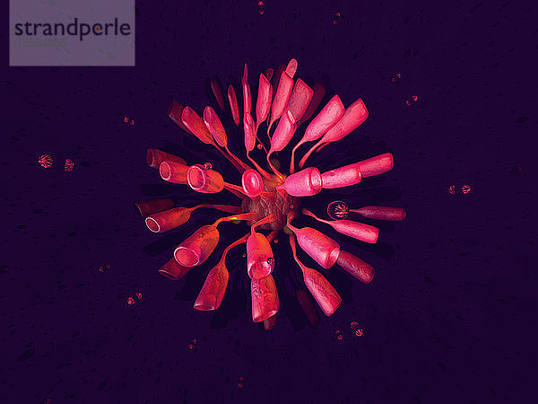 3D-gerenderte Illustration  Visualisierung eines generischen Virus