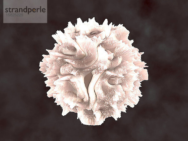 3D-gerenderte Illustration  Visualisierung eines Leukozyten  weißes Blutkörperchen