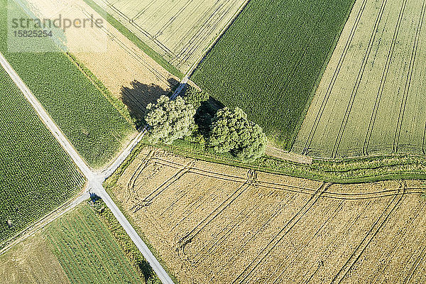 Deutschland  Bayern  Drone-Ansicht von Patchwork-Feldern im Sommer