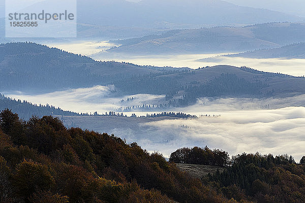 Ukraine  Gebiet Zakarpattia  Karpaten  Borzhava  Nebel über Berglandschaft