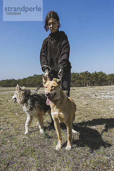 Junge Frau geht mit Hunden aus dem Tierheim spazierenÂ