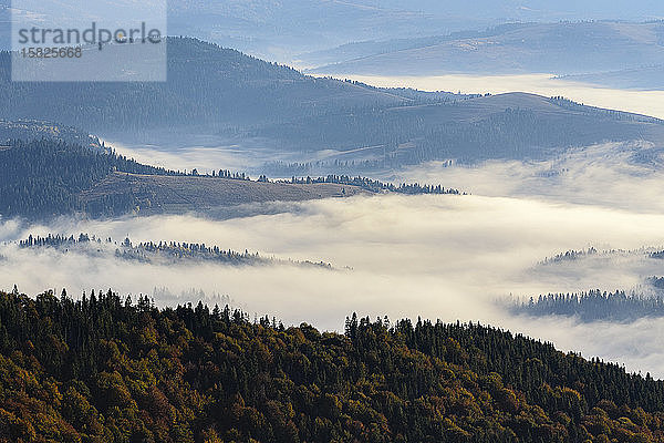 Ukraine  Region Sakarpattia  Karpaten  Borzhava  Neblige HÃ?gel derÂ KarpatenÂ bei Sonnenaufgang