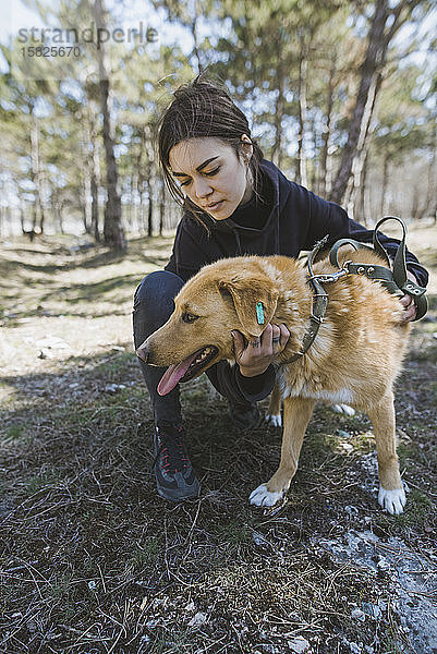 Junge Frau streichelt Hund aus dem Tierheim beim Spaziergang im Wald