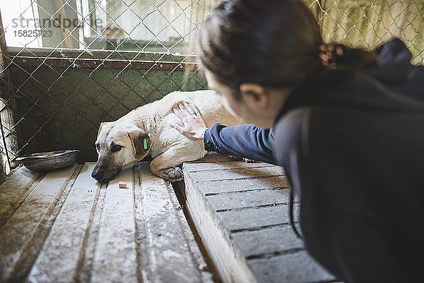 Junge Frau streichelt traurigen Hund im Tierheim