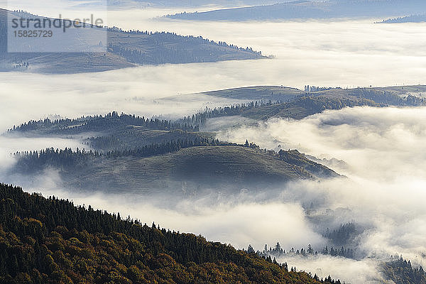 Ukraine  Region Sakarpattia  Karpaten  Borzhava  Neblige HÃ?gel derÂ KarpatenÂ bei Sonnenaufgang