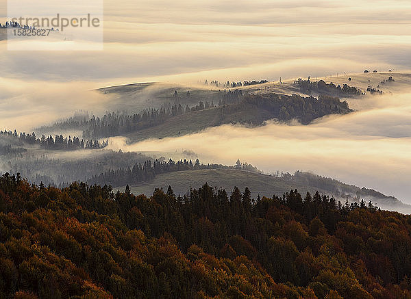 Ukraine  Region Zakarpattia  Karpaten  Borzhava  Morgennebel über Berglandschaft