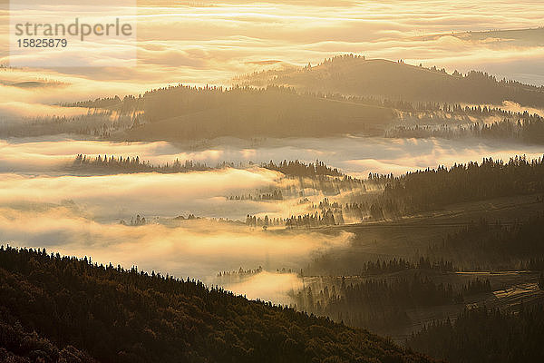 Ukraine  Region Zakarpattia  Karpaten  Borzhava  Berglandschaft im Nebel  beleuchtet vom morgendlichen Sonnenlicht