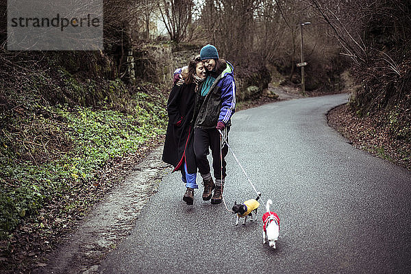 Schwules weibliches Paar lacht und geht im tschechischen Winter mit Hunden auf der Landstraße spazieren