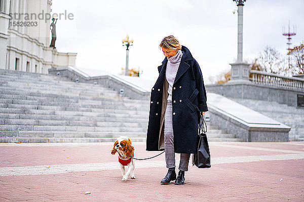 Eine Frau geht mit einem Cavalier King Charles Spaniel Hund durch die Stadt.