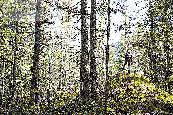 Wanderer steht auf großem moosbedecktem Felsblock im Wald.