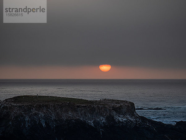 Sonnenuntergang unter der Nebelbank über dem Pazifik