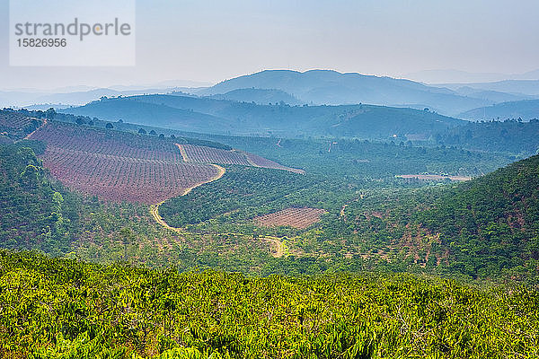 Hügellandschaft und Kaffeeplantagen im zentralen Hochland  Vietnam