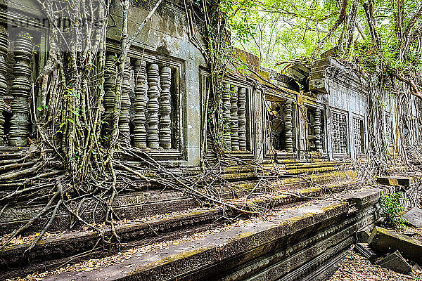 Prasat-Beng-Mealea-Tempelruinen  Siem Reap  Kambodscha