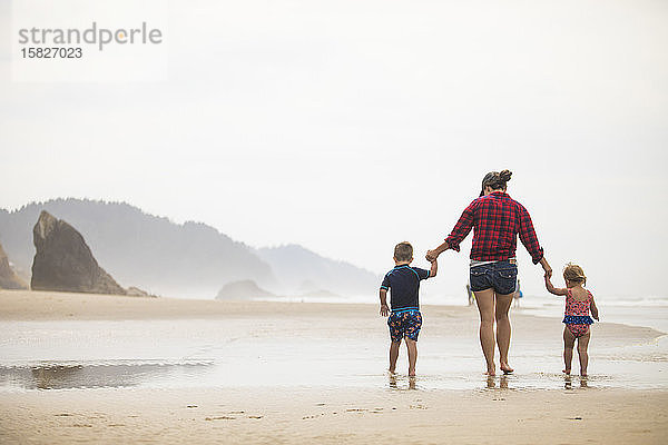 Rückansicht einer Mutter  die mit ihren zwei kleinen Kindern am Strand spazieren geht.