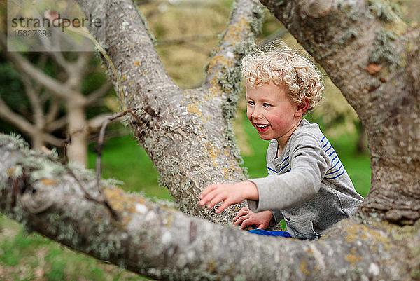 Lockenhaariger Junge klettert auf einen Baum