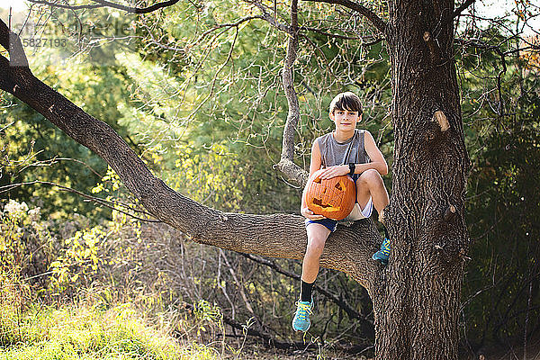 Junger Junge sitzt im Baum mit geschnitztem Kürbis