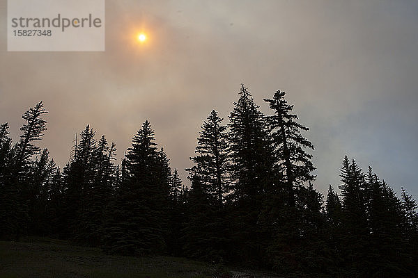 Rauch von einem Waldbrand im Südwesten Colorados blockiert die Sonne.