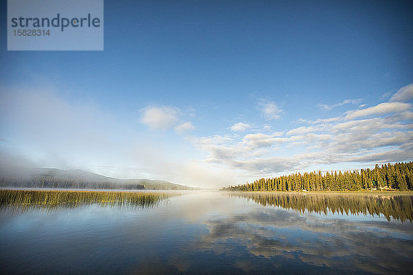 Morgenwald und Wolkenspiegelungen in ruhigem See.