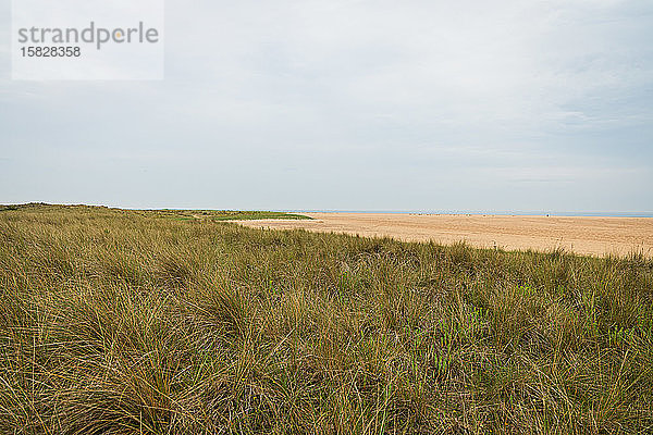 Leerer Strand entlang der Küste von Norfolk