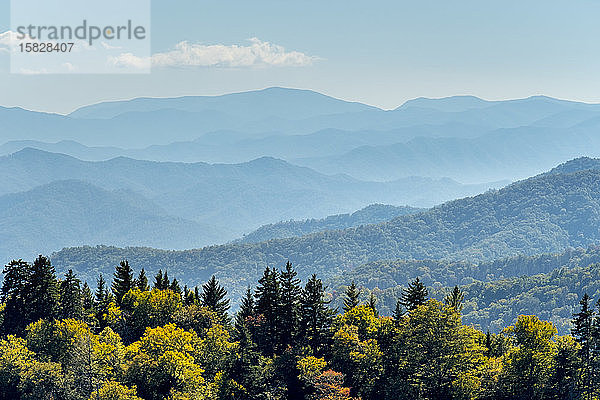 Smoky Mountains National Park  Newfound Gap  Grenze zwischen North Carolina und Tennessee  Vereinigte Staaten