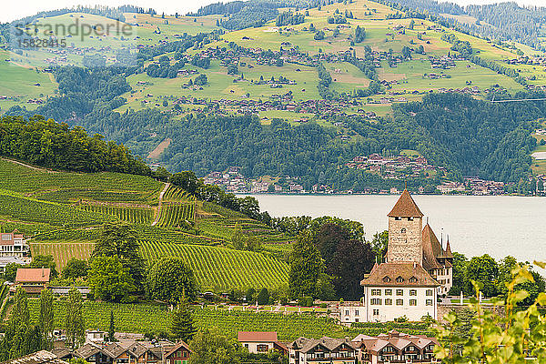 Schönes Dorf Spiez am Thunersee in den Schweizer Alpen bei Interlaken