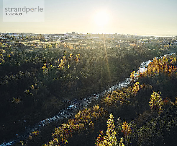 Fluss fließt bei Sonnenschein durch den Herbstwald