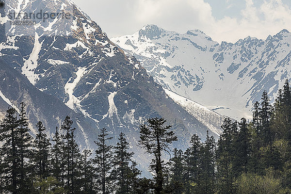 alpine Landschaft mit schneebedeckten Bergen und mit Kiefernwäldern bedeckten Hängen