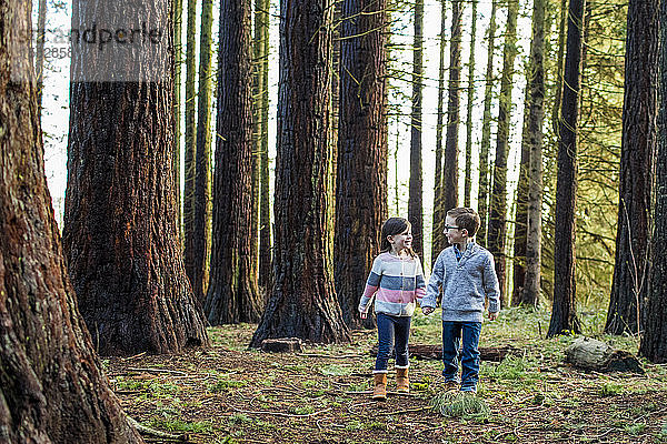 Junge und Mädchen halten sich an den Händen und gehen durch einen Wald.