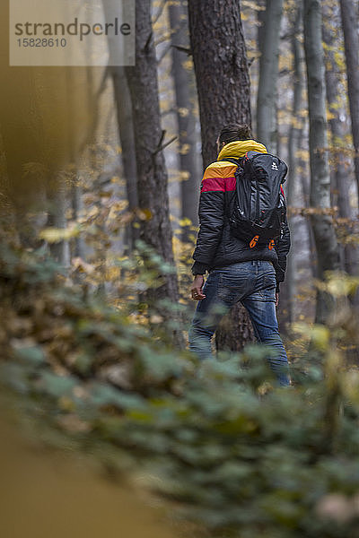 Männer  die zwischen fallenden Blättern in einem Wald spazieren gehen