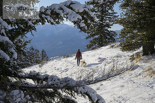 Frau wandert mit Hund durch die Schneeberge