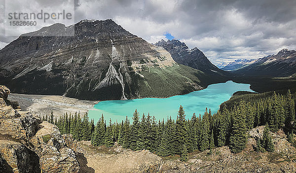 Panoramablick auf den türkisfarbenen Peyto Lake in Banff  Alberta  Kanada.