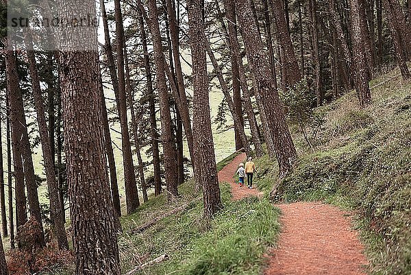 Zwei Kinder wandern durch Wald in Neuseeland