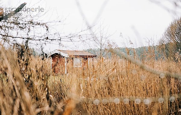 Blick auf eine traditionelle schwedische Hütte durch langes Gras in der Ostsee