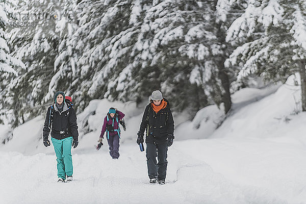 Gruppe von drei Personen geht im Schnee in Richtung Kamera Manning Park