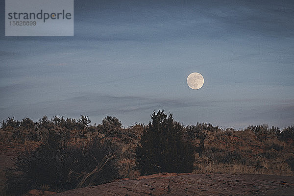 Vollmond über der Landschaft von Utah