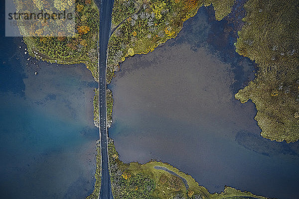 Asphaltstraße durch ein Feuchtgebiet auf dem Land