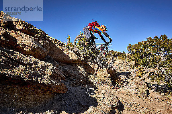 Ein Mountainbiker überspringt einen kleinen Felsvorsprung auf dem Weg.