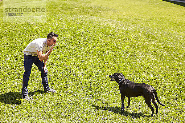 Ein Mann  der seinen Hund trainiert.