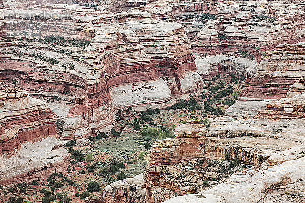 Blick auf die geschichteten roten Fels-Canyonwände von The Maze Utah