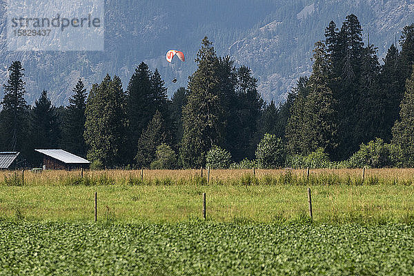 Gleitschirmflieger kommen an einem sonnigen Tag zur Landung auf einem Feld.