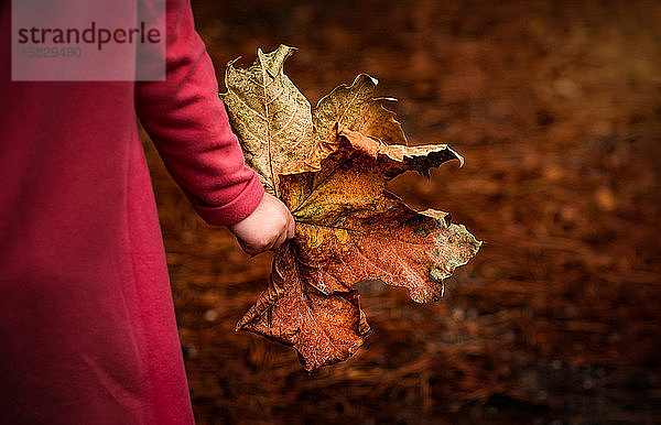Kind hält riesiges Herbst-Herbstblatt aus nächster Nähe in der Hand