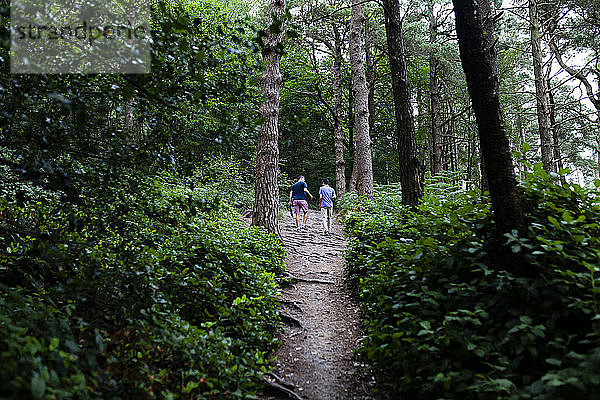 Mann und Jugendlicher beim Waldspaziergang