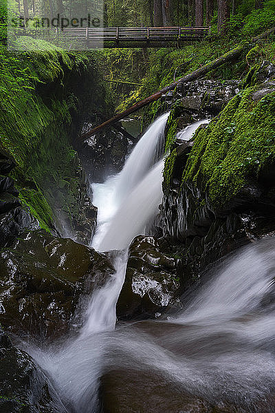 Wasserfall  der im moosbewachsenen Wald unter einer Holzbrücke fließt